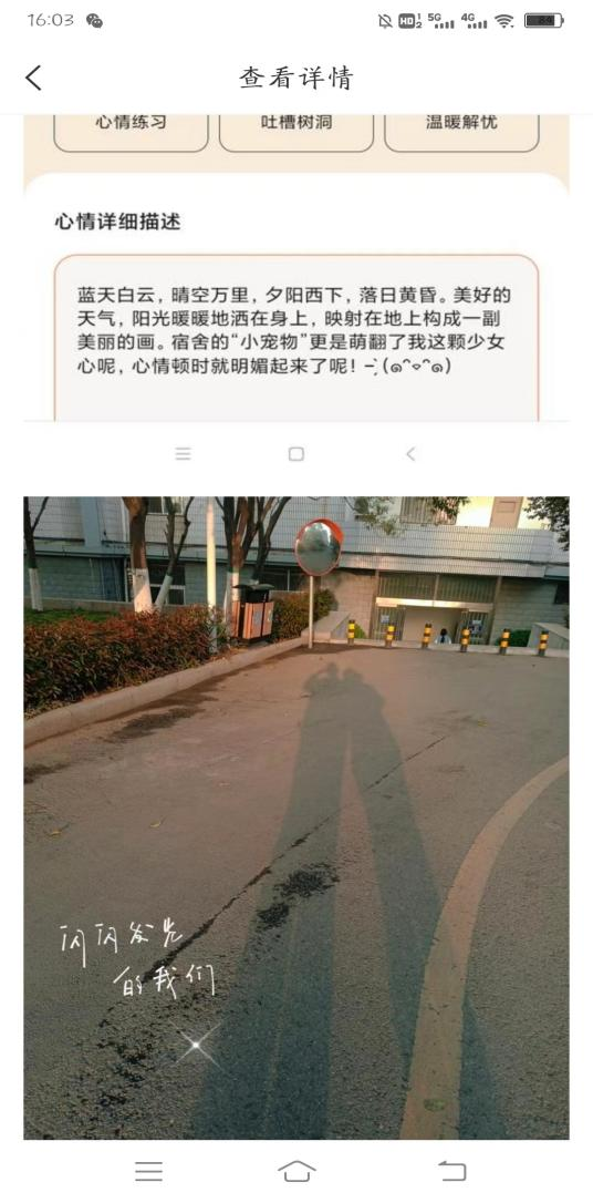 香港宝典全年资料库