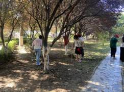 8049ae54939abe6da37f55e45661aca