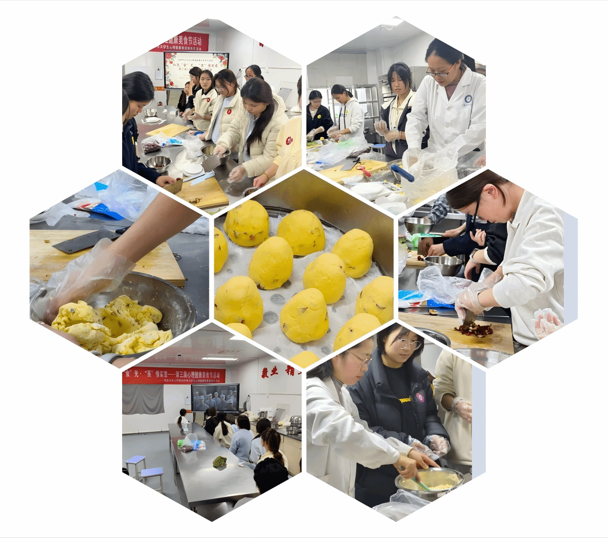 香港宝典全年资料库