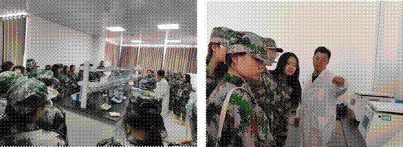 香港宝典全年资料库