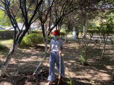 1cc67b40e73f4be407d559427eec969