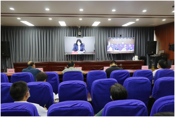 香港宝典全年资料库