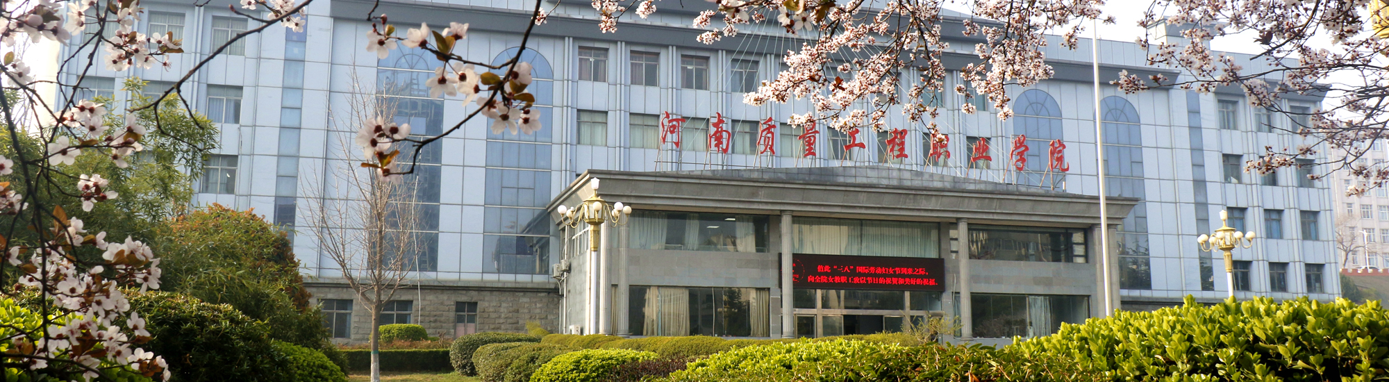 香港宝典全年资料库