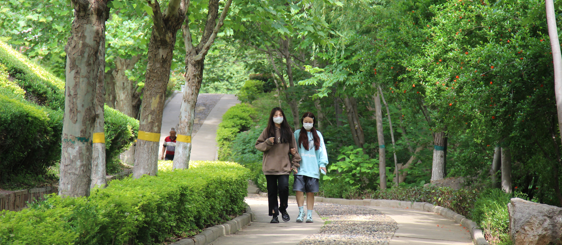 香港宝典全年资料库