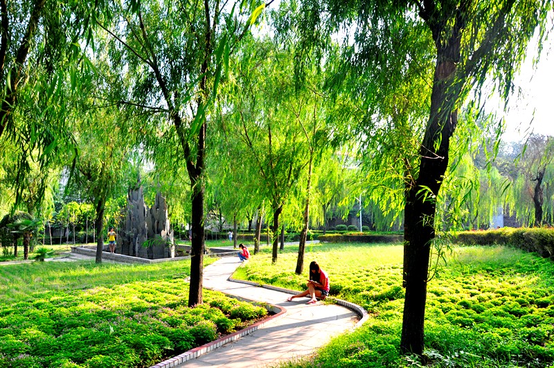 香港宝典全年资料库