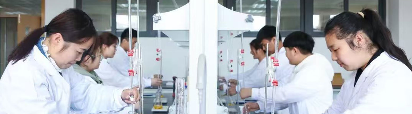 香港宝典全年资料库