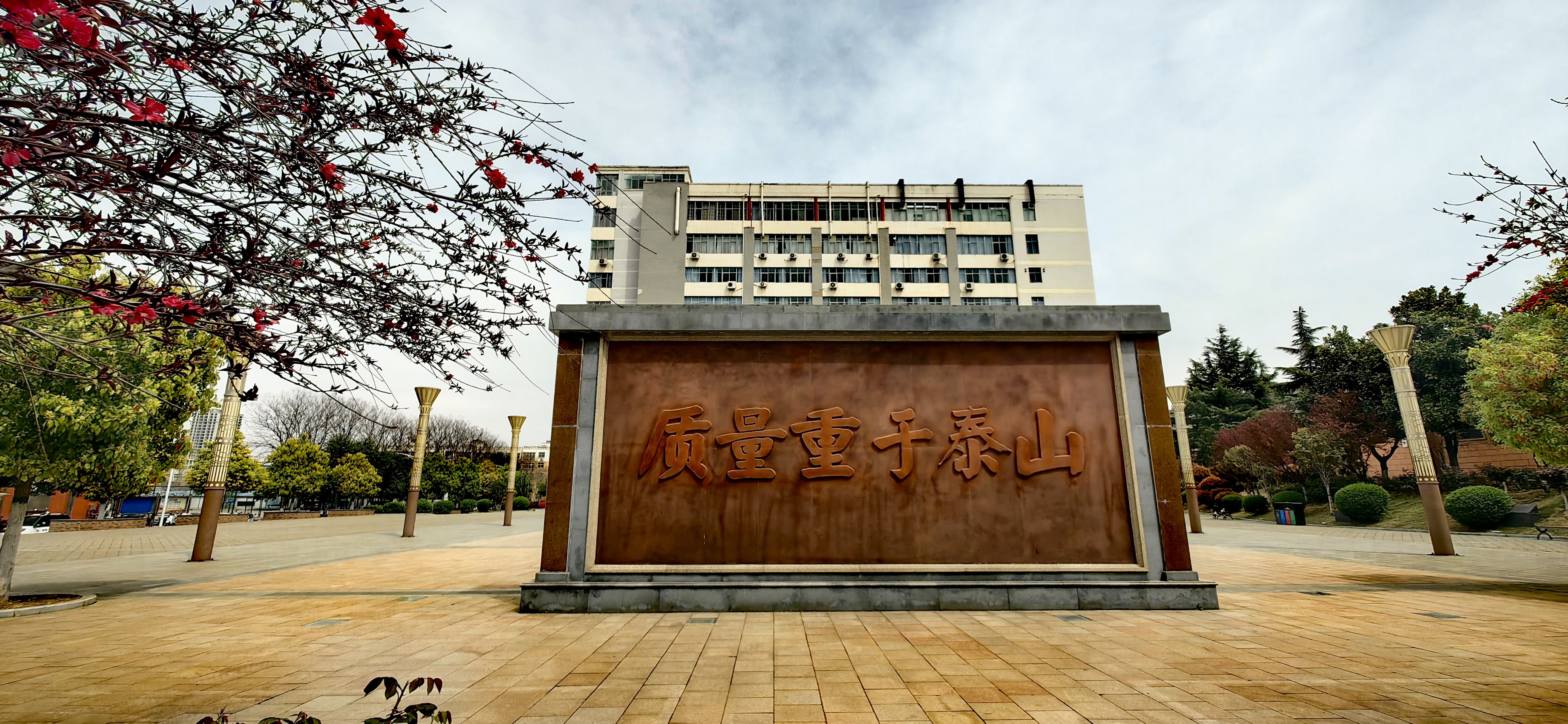 香港宝典全年资料库